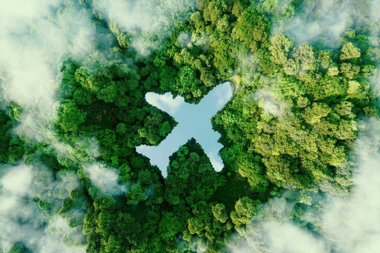 Eco-Friendly Travel: How to Reduce Your Footprint